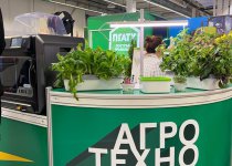Фестиваль