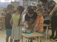 IMG-8e012b258465d9db9bba68564c229848-V — копия