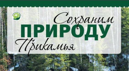Итоги акции «Сохраним природу Прикамья»