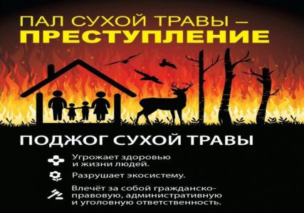 Бесконтрольный пал сухой травы – причина пожаров