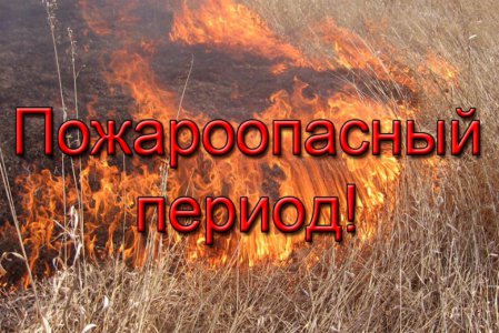 Информация по недопущению лесных пожаров