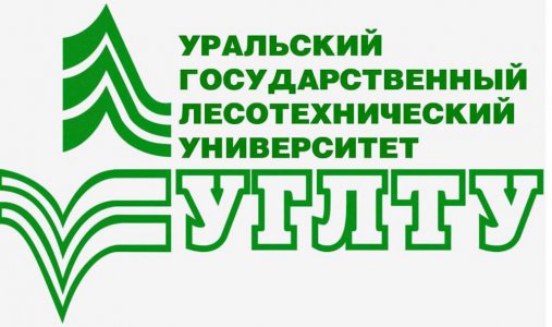 Информационный день Уральского государственного лесотехнического университета