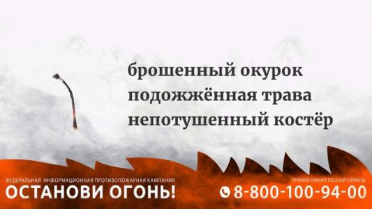 В России стартовала ежегодная Федеральная информационная противопожарная кампания «Останови огонь!»